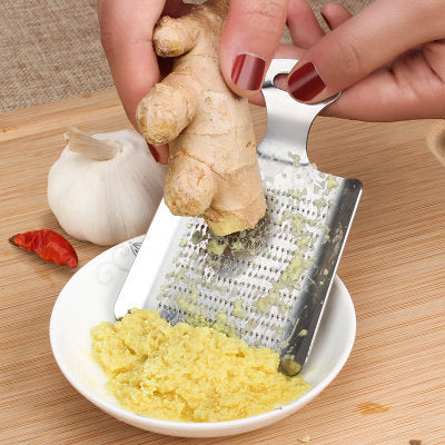 Stainless Steel Ginger & Garlic Grinder Tool