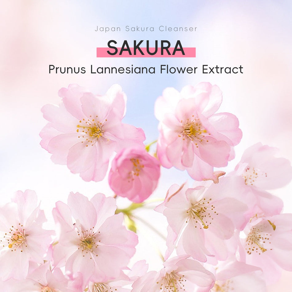 🌸 Laikou Sakura Facial Cleanser 100g