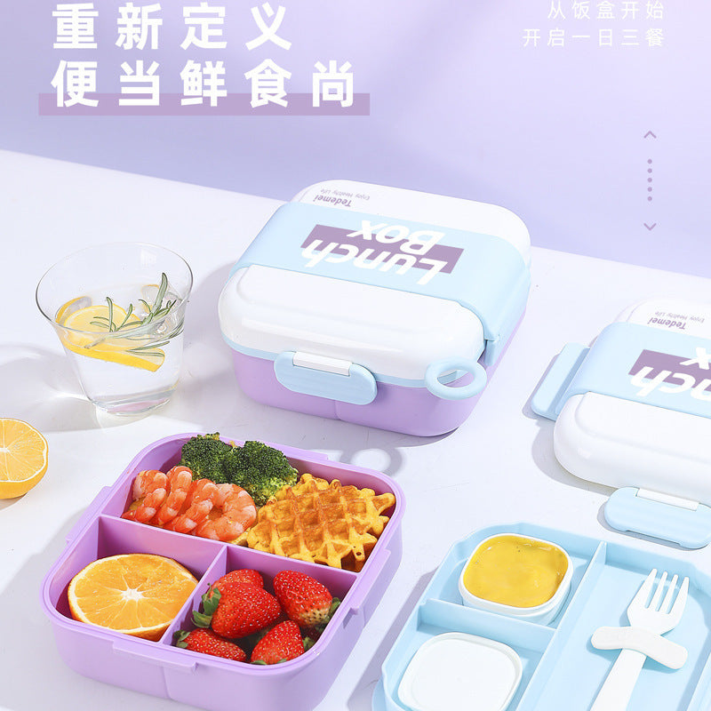 Sealed Compartment Lunch Box Food Grade PP Plastic Salad Box