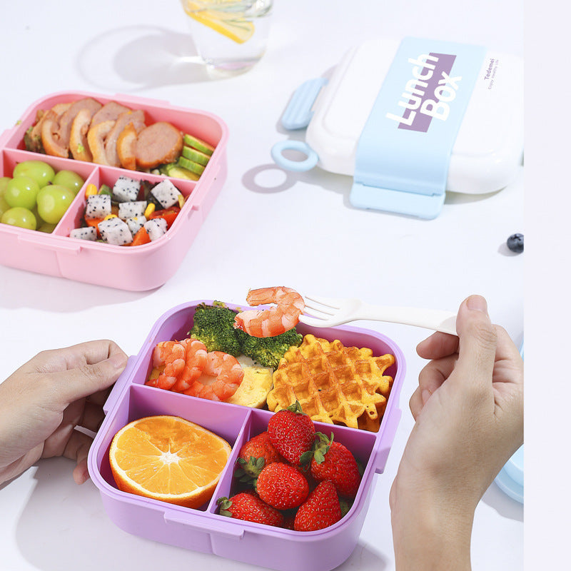 Sealed Compartment Lunch Box Food Grade PP Plastic Salad Box