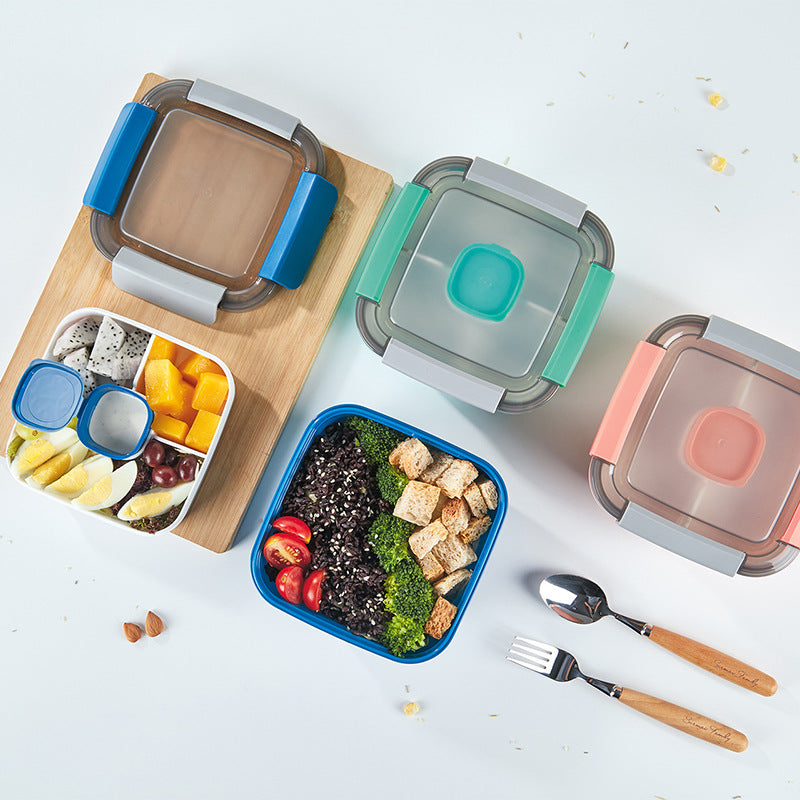 Double Layer Sealed Lunch Box with Compartments