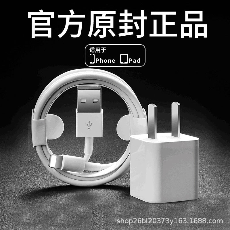 Apple 5V 1A USB Charger for iPhone 5s–14