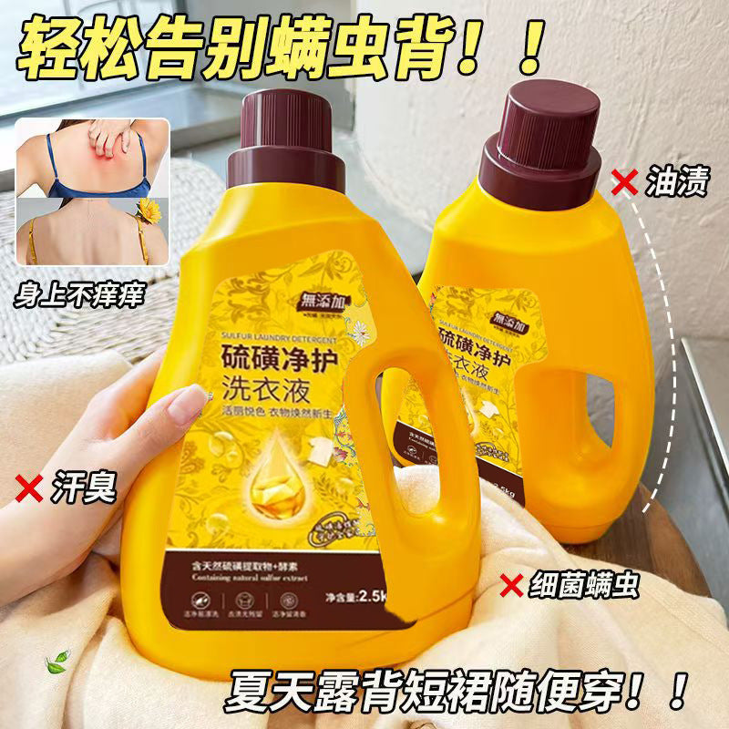 Sulfur Deep-Stain [Eco-Pack] Laundry Detergent