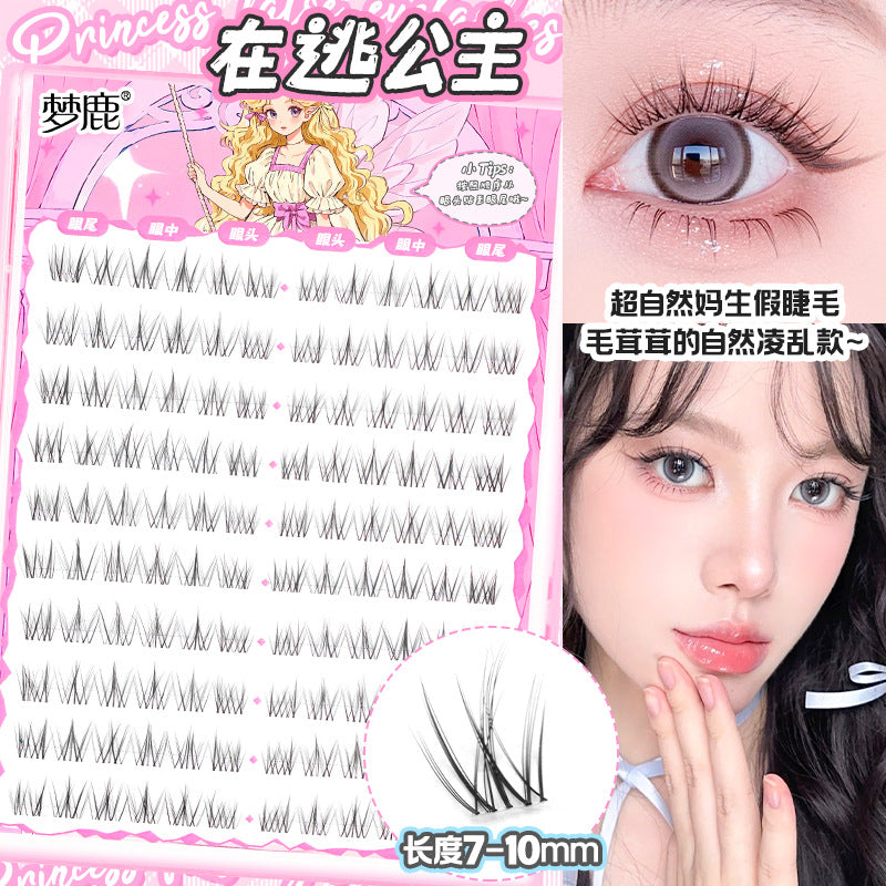 Princess Style Natural False Eyelashes – Segmented