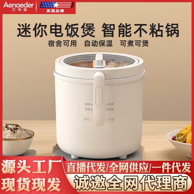 Multi-Functional Smart Mini Rice Cooker & Hot Pot (2026 Student