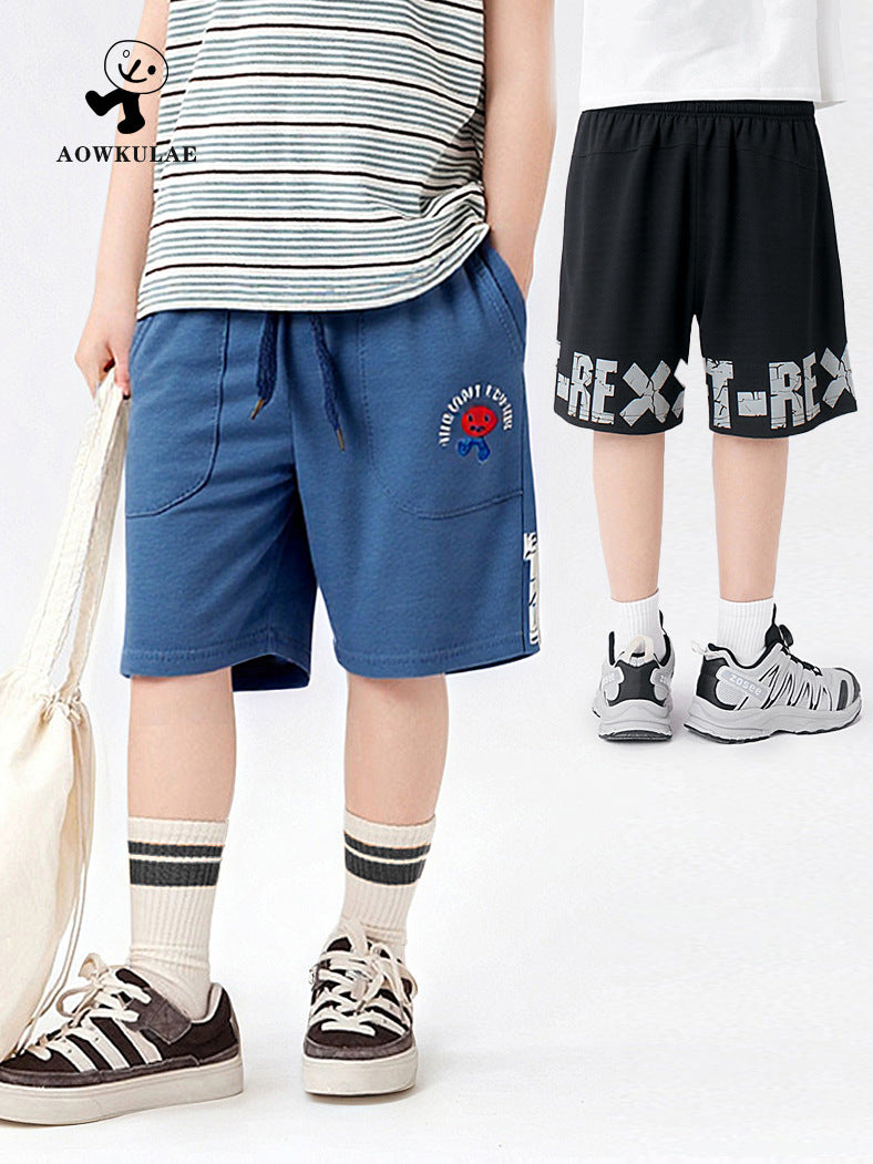 Boys’ Korean Summer Sports Shorts – Embroidered Pants – Summer Kids Fashion Nepal | Tudoholic