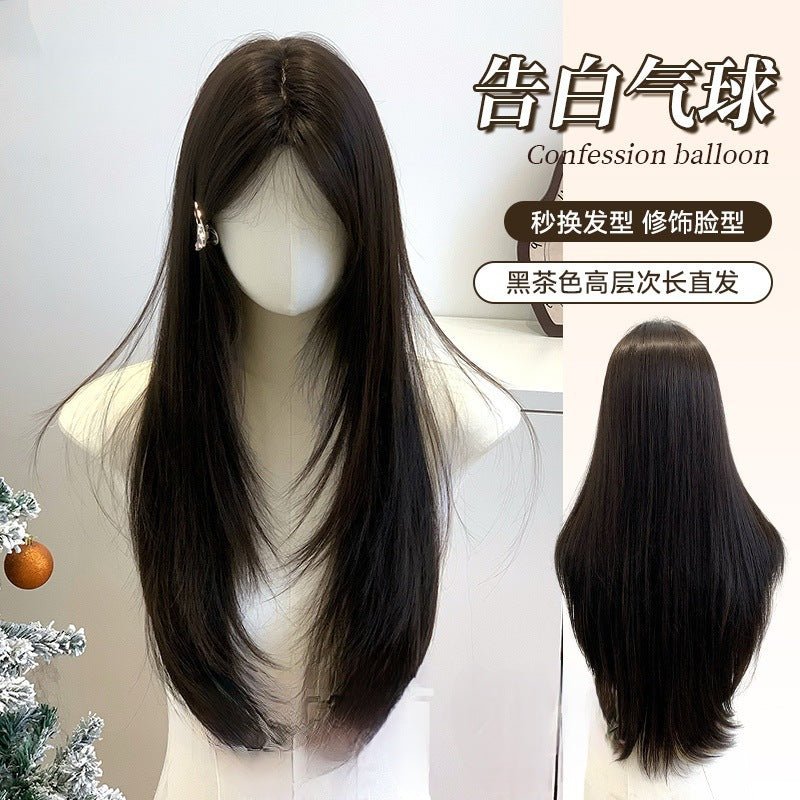 Women’s Black Brown Natural Straight Daily Wig