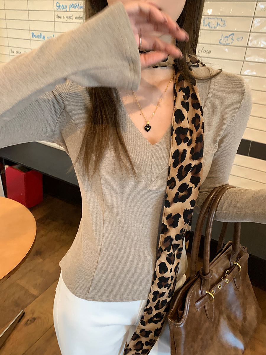 Oatmeal V-Neck Cashmere Women Winter Slim Top 2026