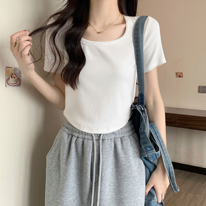 Women Solid Round Neck Slim Curved Hem T-Shirt