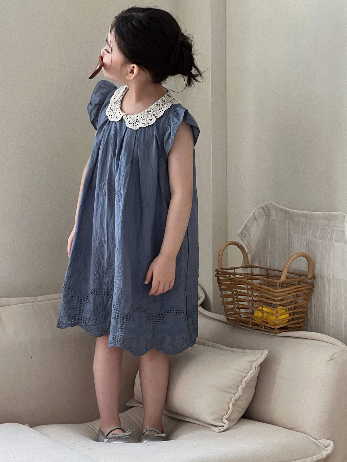 Girls French Lace Butterfly Sleeve Princess Dress – Kids Fashion Nepal | Tudoholic
