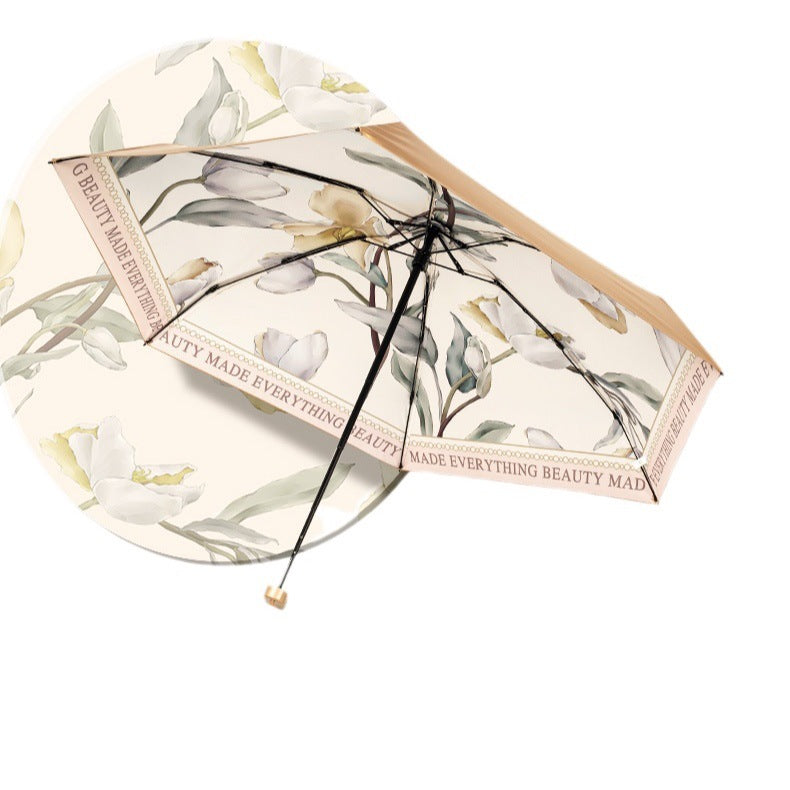 "Aero-Flat 60" Series: The Ultimate "Senior" Pocket Shield