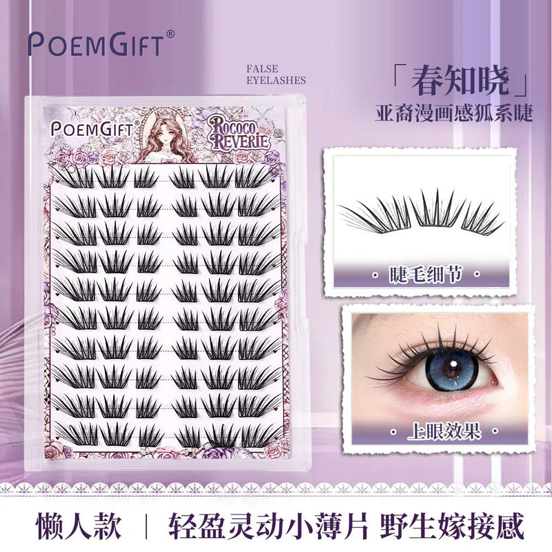 Glue-Free Soft False Eyelashes – Natural Beginner Style