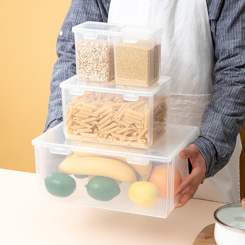 Japanese Style Egg Storage Box for Refrigerator & Freezer