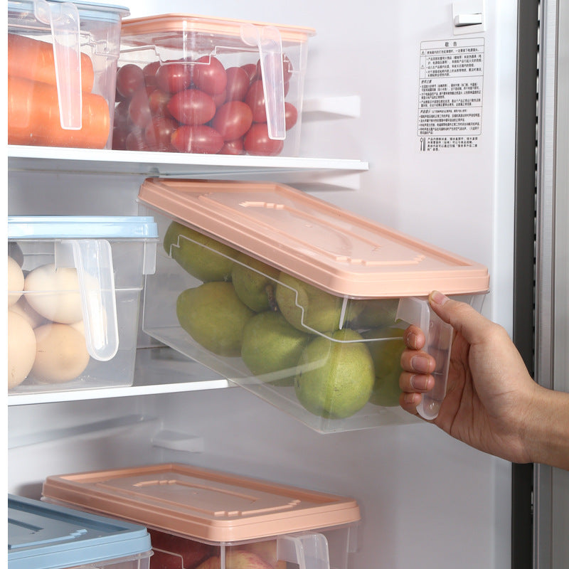 Sealed Transparent Egg & Vegetable Storage Box — clear