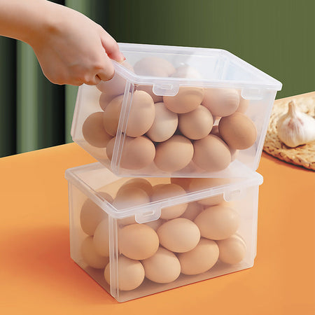 Food Grade Transparent Refrigerator Egg & Food — clear
