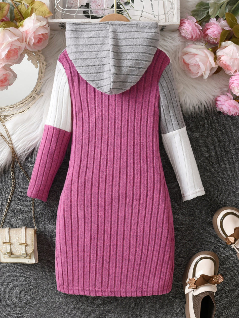 Girls Color-Block Hooded Ribbed Long Sleeve Dress