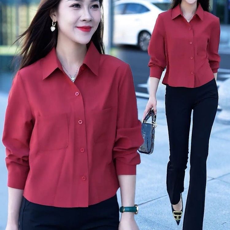 Sculpted Long-Sleeve Minimalist Shirt in Cropped Western