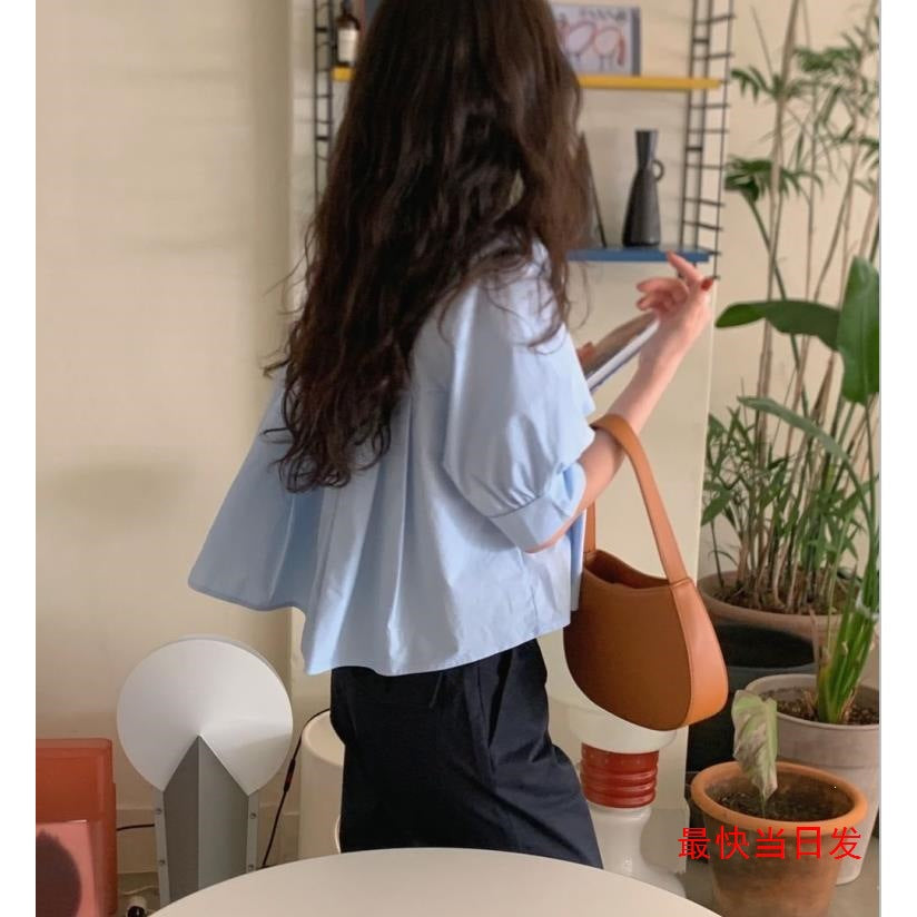 Women's Loose Back Pleated Casual Lapel Short Sleeve Shirt