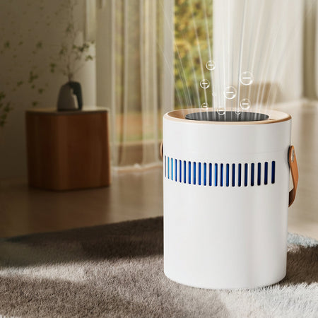 Beige Fog-Free 6L Negative Ion Humidifier USB AC 3-Mist Outlet K20