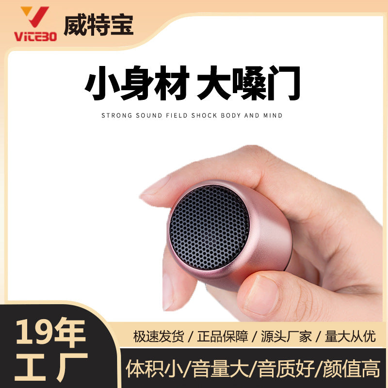 Portable Mini Bluetooth Speaker with Premium Wireless Bass