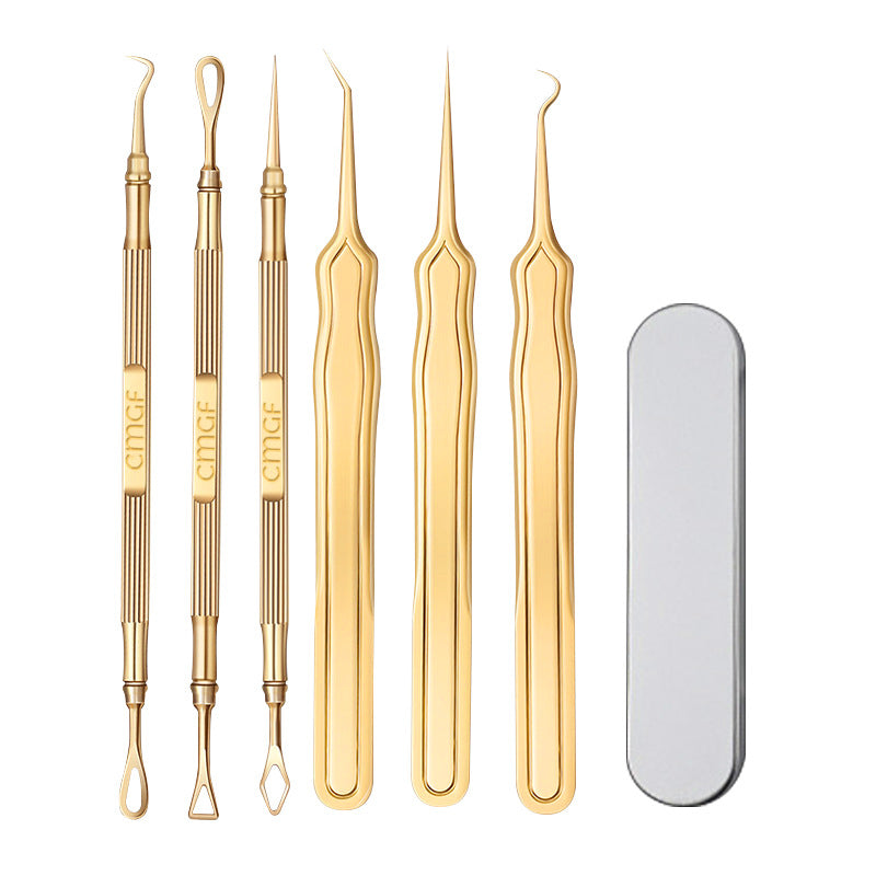 Ultra sharp stainless steel acne needle and cell clip 6-piece set