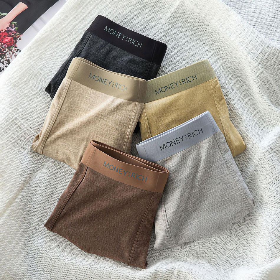 Men's Premium Seamless Ice-Thin Boxer Briefs
