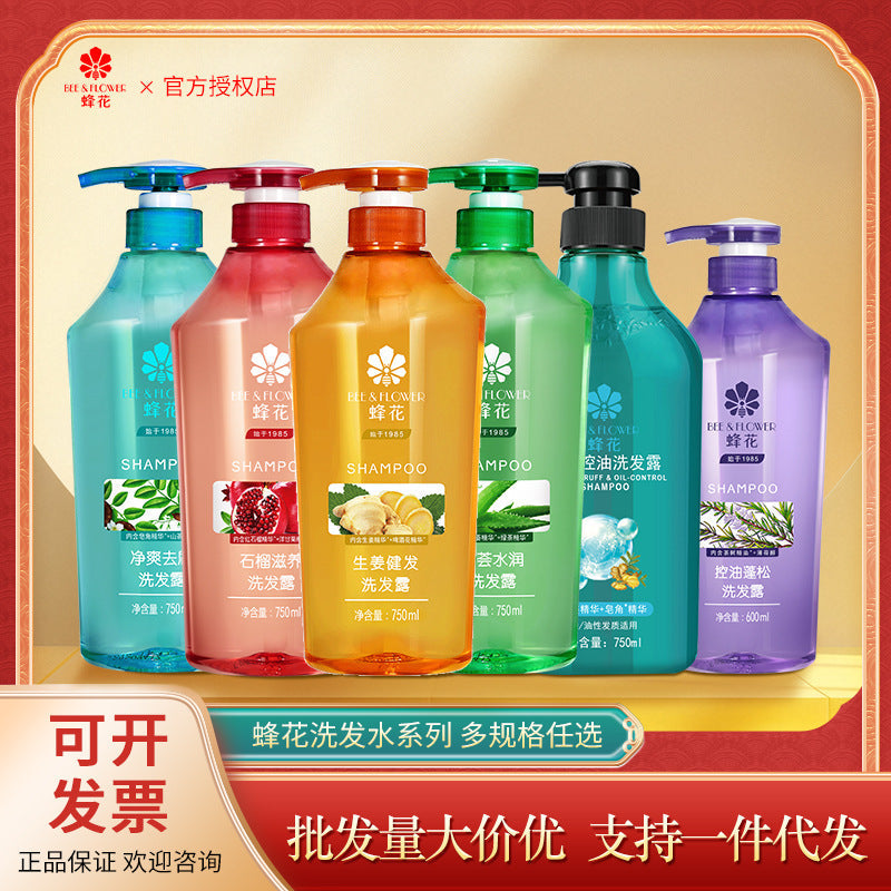 Ginger Anti-Dandruff Oil Control Shampoo & Conditioner Set