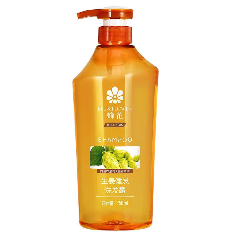 Ginger Anti-Dandruff Oil Control Shampoo & Conditioner Set