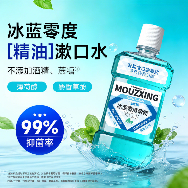 Alcohol-Free Mint Essential Oil Mouthwash Family Size Fresh Care
