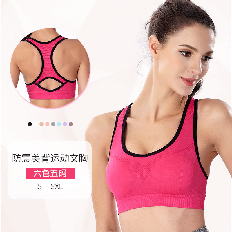 Seamless Plus Size Sports Bra for Running, Yoga and Fitness