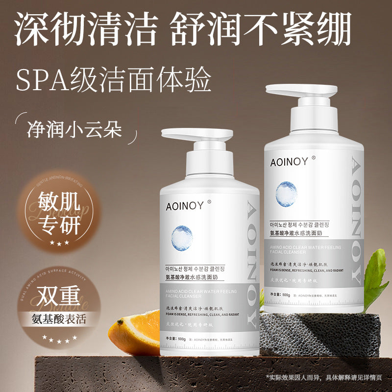 Amino Acid Purifying Facial Cleanser 500ml Oil Control Care