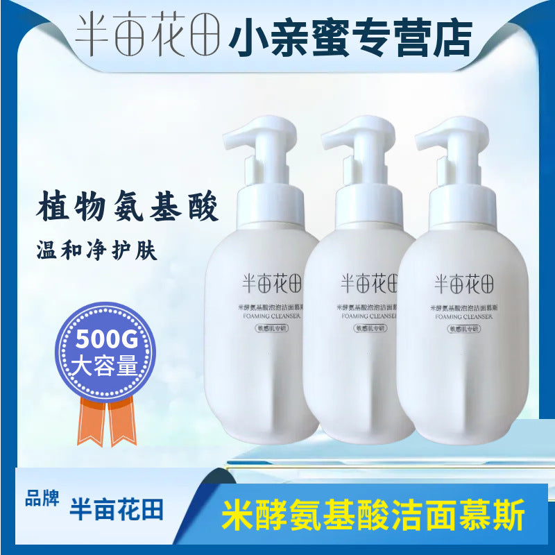 Amino Acid Bubble Cleansing Mousse 500ml Gentle Deep Clean