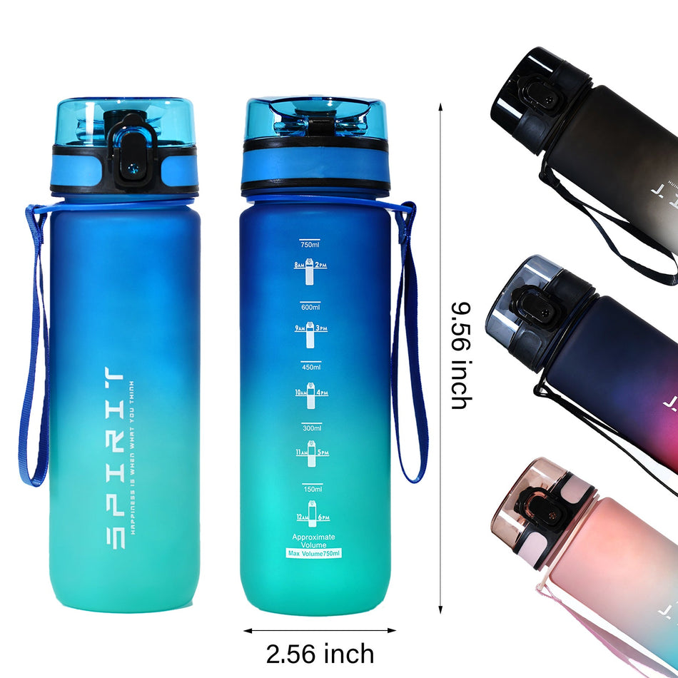Black and Premium Cross-Border Large Capacity Frosted Gradient Sports Water Bottle 500ml