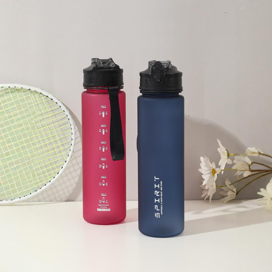 Premium Cross-Border 750ml Gradient Frosted Sports Space Cup with
