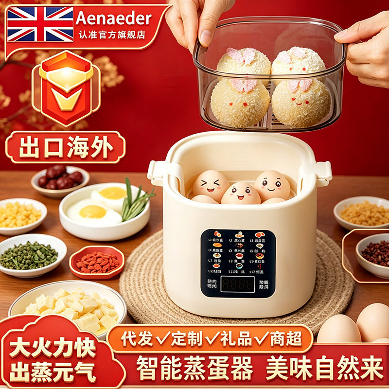 Premium Cross-Border Smart Electric Steamer & 12-Function