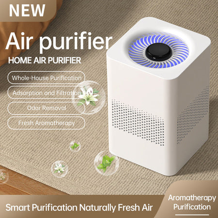 USB Negative Ion Air Purifier for Home with Odor Filter