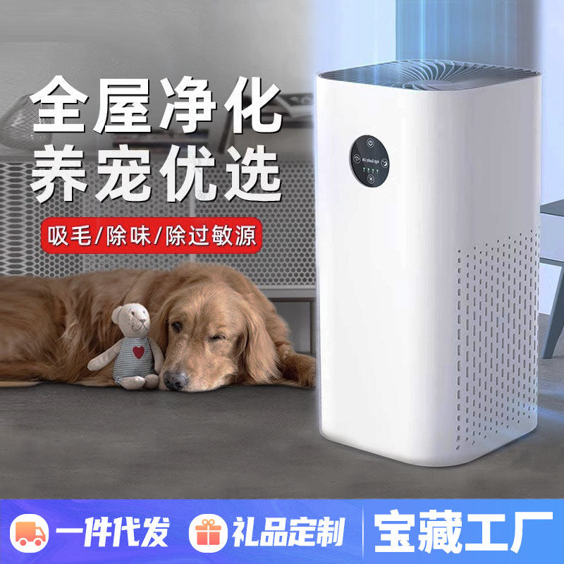 Desktop Negative Ion Air Purifier for Pet Odor and Fresh Indoor