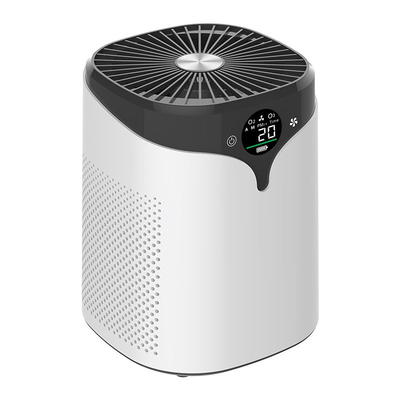 Upgraded model Negative Ion Air Purifier for Pet Hair and Formaldehyde Removal