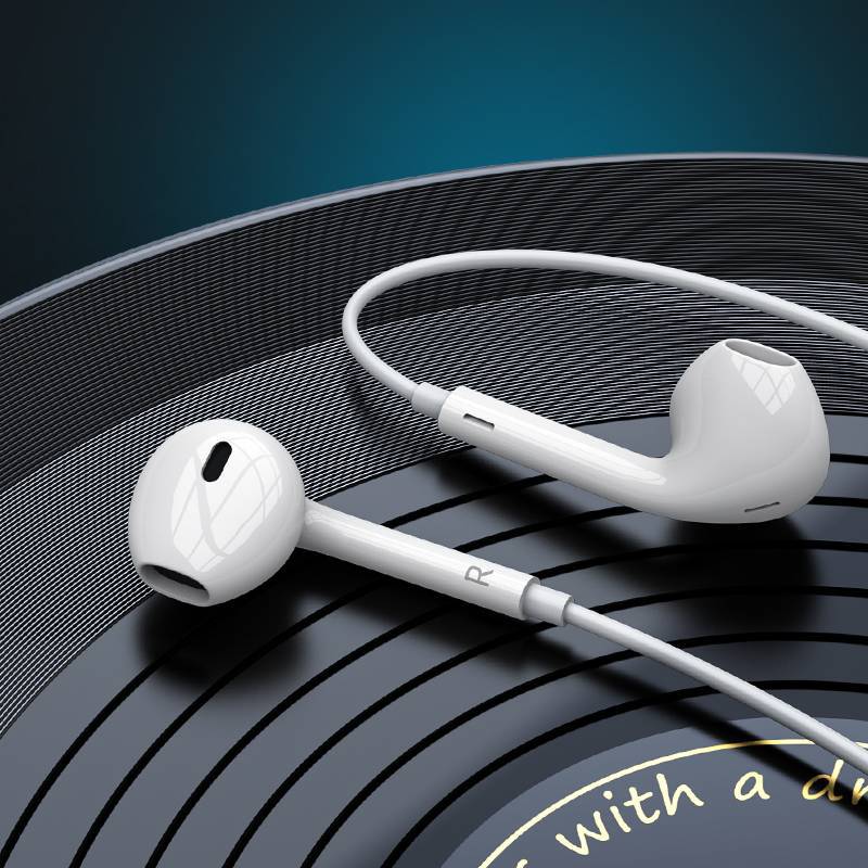 Pisen Type-C Wired Earphones with Mic and In-Line Controls