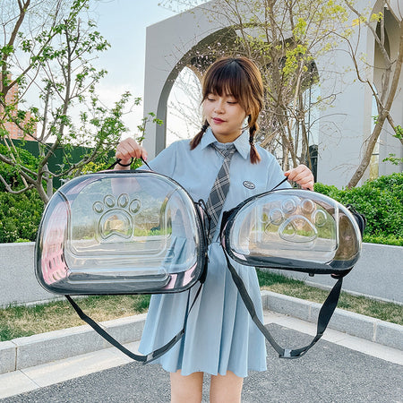 Foldable Transparent Pet Carrier Shoulder Backpack for Cats in pink