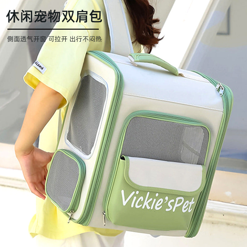 Contrast Color Transparent Pet Backpack Carrier for Cats in green