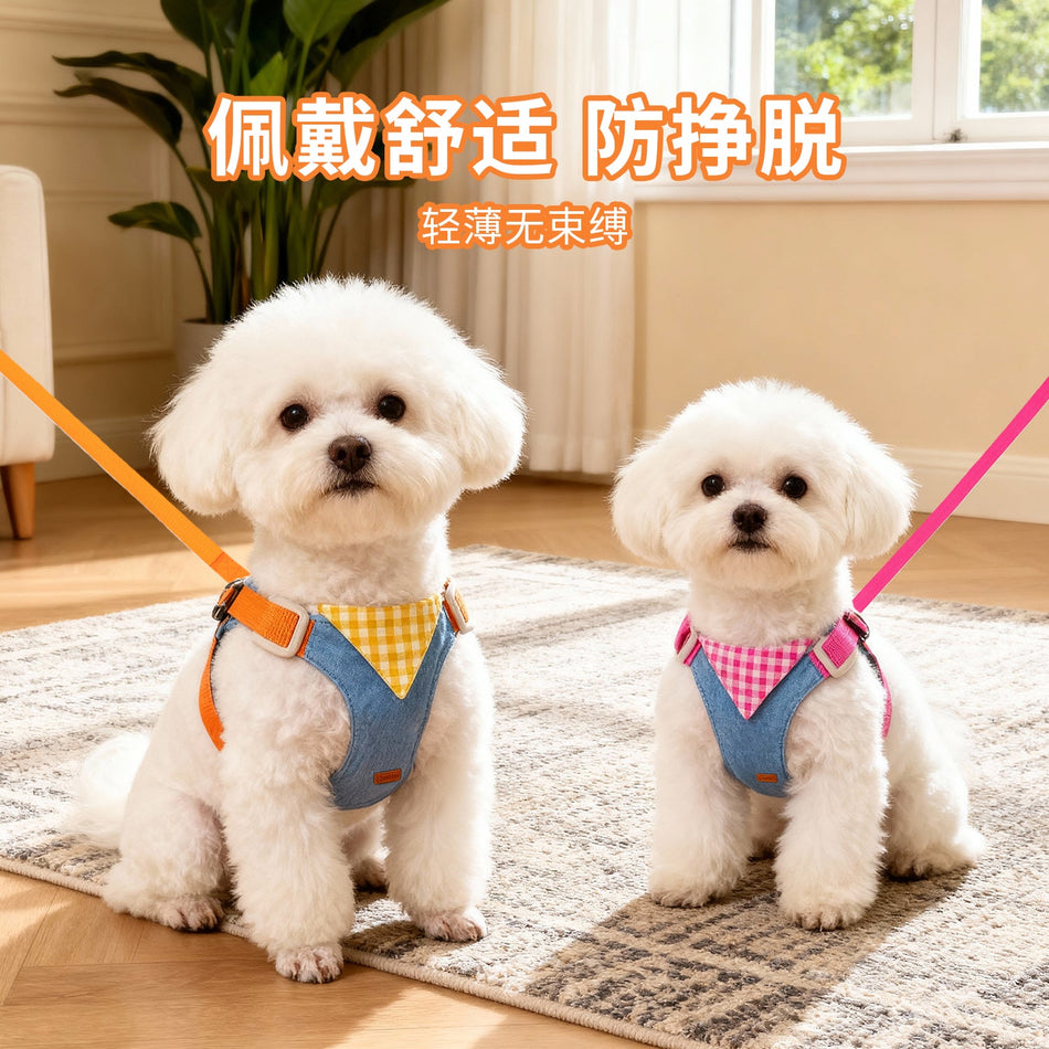 Vest Style Dog Harness and Leash for Small and Medium Dogs