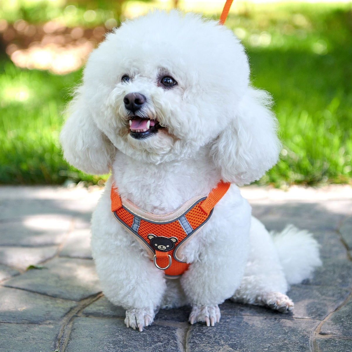 Vest Style Dog Harness Leash for Small Dogs and Puppies in orange, 3kg