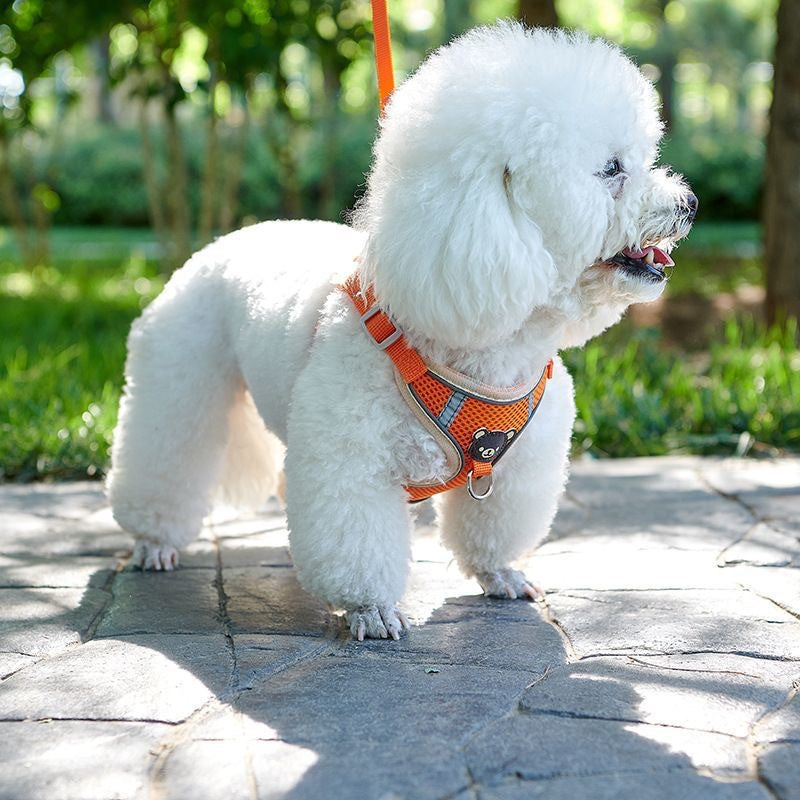 Vest Style Dog Harness Leash for Small Dogs and Puppies