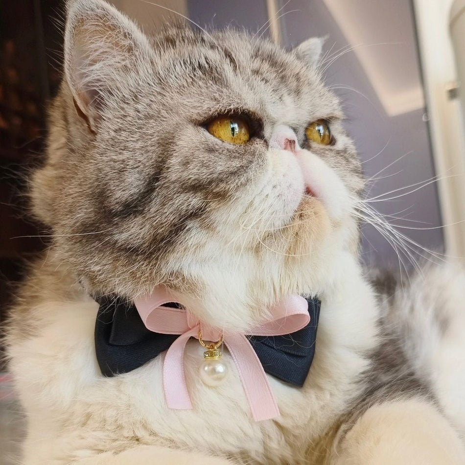Pearl Bow Velvet Elastic Pet Collar for Cats and Small Dogs in pink