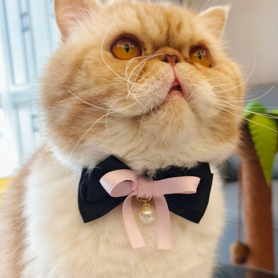 Pearl Bow Velvet Elastic Pet Collar for Cats and Small Dogs