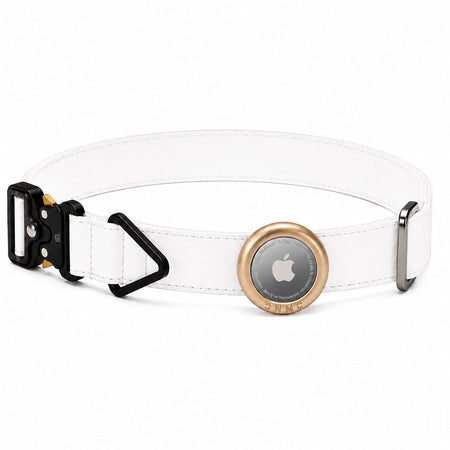 AirTag Compatible Anti Lost Dog Collar with Protective Cover in black