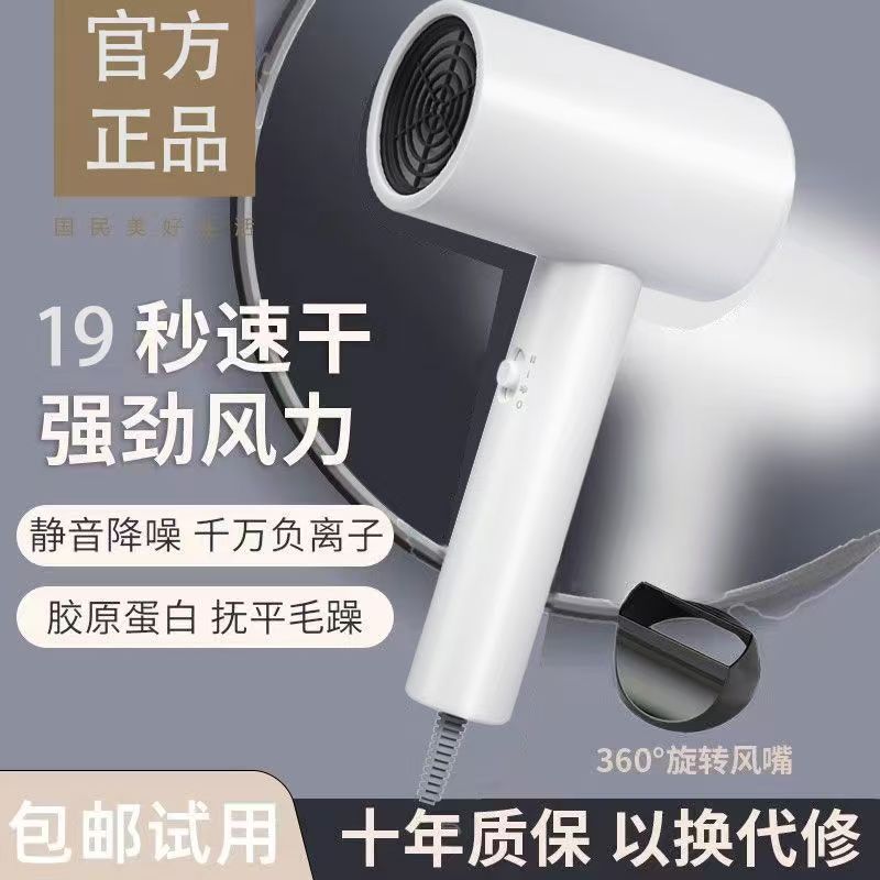 Compact Ionic Hair Dryer for Home, Travel and Dorm Use