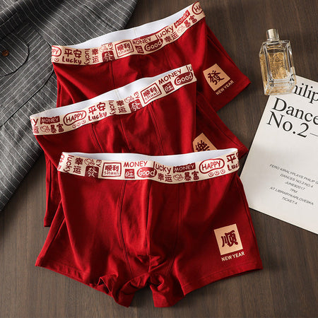 Mens Cotton Boxer Briefs Mid Waist Festive Zodiac Nelix 10A Fit