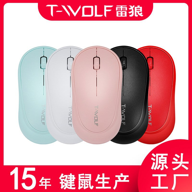 Portable Wireless Mouse for Laptop and Office Use